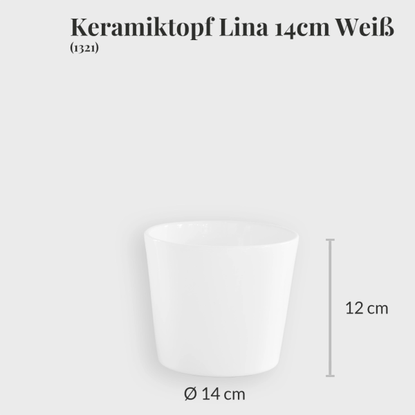 4er Übertopfset 1L 1M 2S Weiß Zu verkaufen – Bild 5