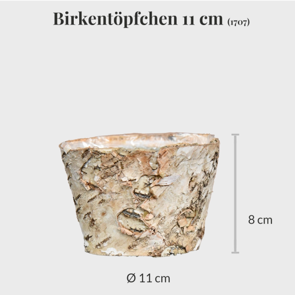3er Set Birkentöpfchen 11cm Rabatt – Bild 4