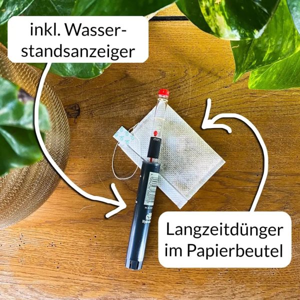 Hydro 3er Pflanzen Set Wunderstrauch Online-Schn?ppchen – Bild 4