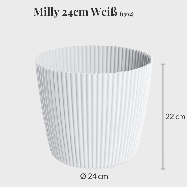 10er Übertopfset 4XXL 6L Milly Verkauf – Bild 3