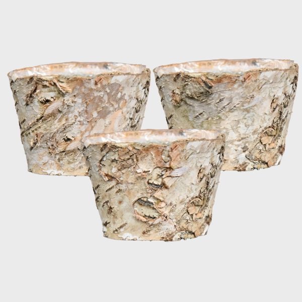 3er Set Birkentöpfchen 11cm Rabatt