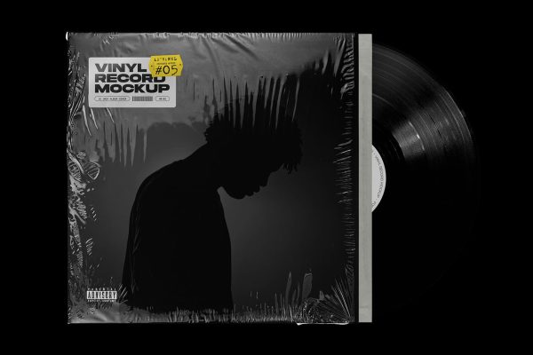 Vinyl Record Mockup 5 Im Angebot