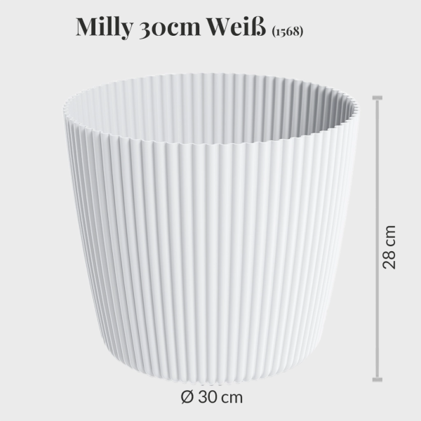 10er Übertopfset 4XXL 6L Milly Verkauf – Bild 2