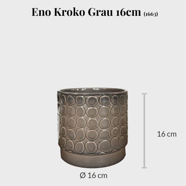 Eno Kroko 16cm Online-Schn?ppchen – Bild 2