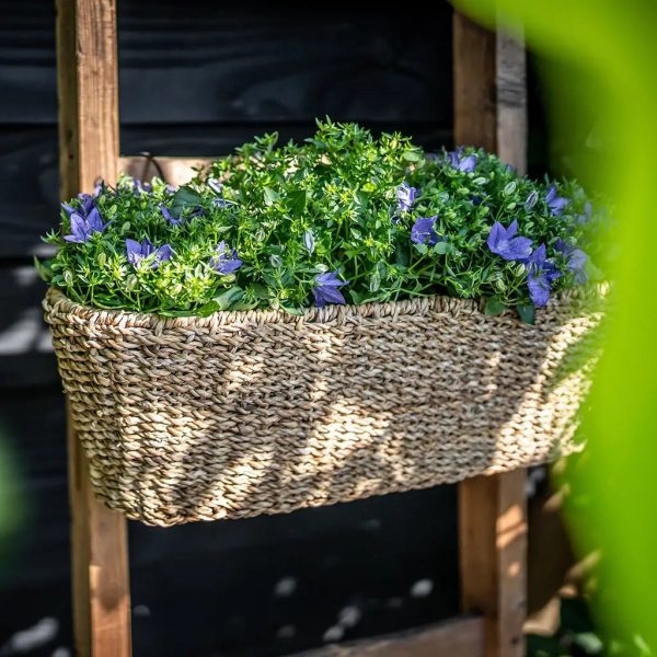 Seegras Balkonkasten 55cm Im Angebot – Bild 2