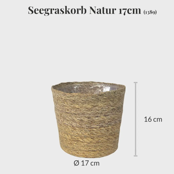 4er Übertopfset 2M 2S Grün Schn?ppchen – Bild 4