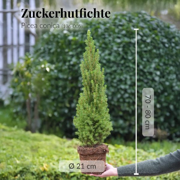 Pop Up Weihnachtsbaum geschmückt Angebot – Bild 4