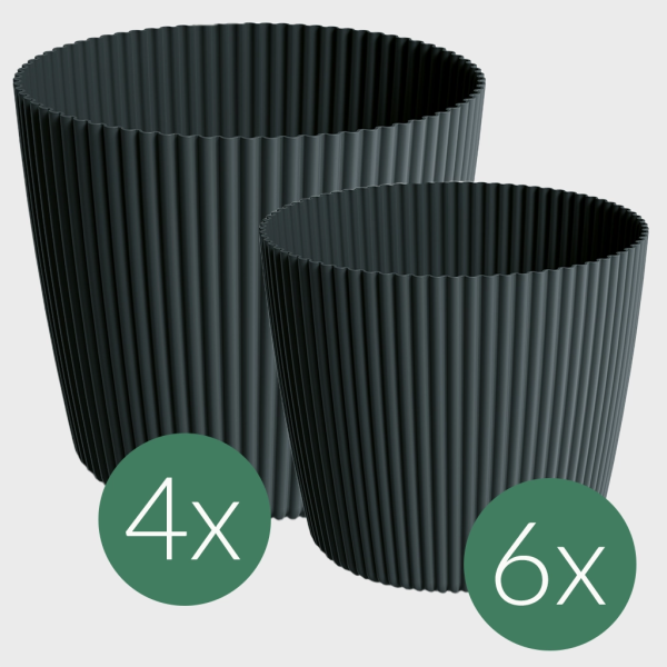 10er Übertopfset 4XXL 6L Milly Verkauf – Bild 5