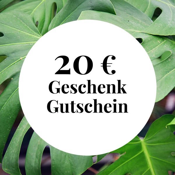 Green Me Up Geschenk Gutschein zum Selbstausdrucken Angebot – Bild 5