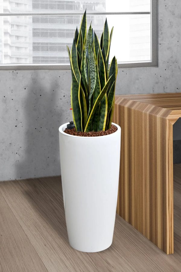 Hydro Business Pflanzgefäß Vase Online-Schn?ppchen – Bild 2