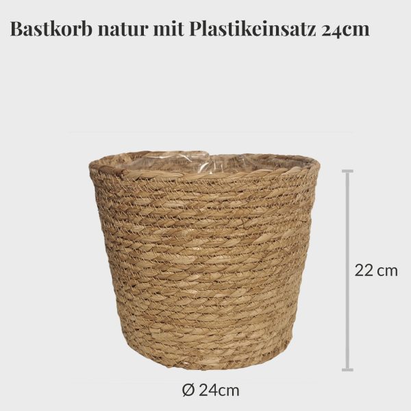 Bastkorb Natur 24cm mit Hydroeinsatz Im Angebot – Bild 2