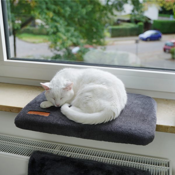 Fensterbankliege Teddy Online – Bild 5