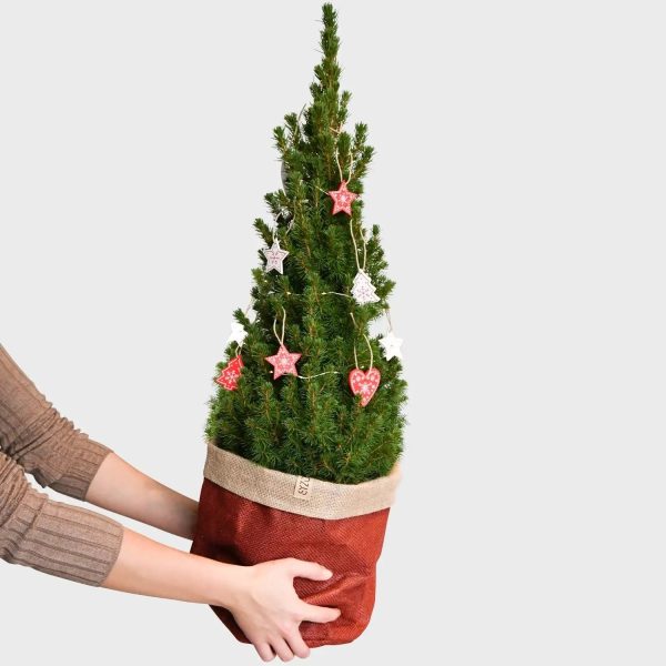 Pop Up Weihnachtsbaum geschmückt Angebot