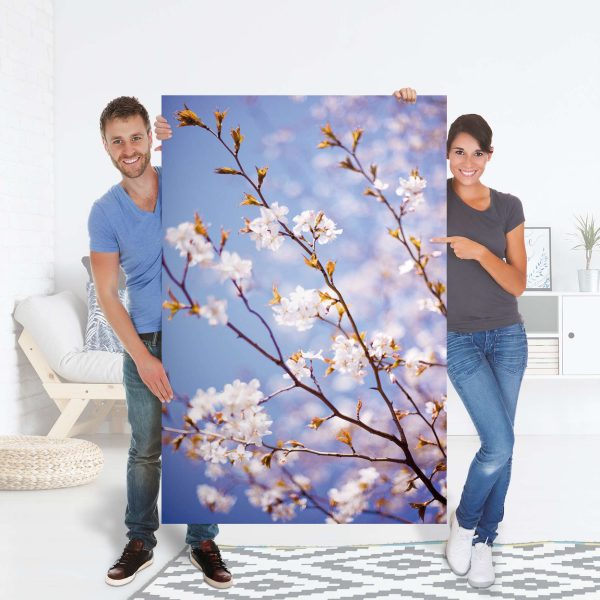 Folienbogen (100x150 cm) - Design: Apple Blossoms Online – Bild 2