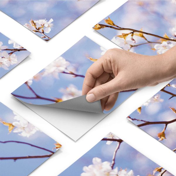 Fliesenfolie [quer] für Küche & Bad - Design: Apple Blossoms Mode – Bild 3