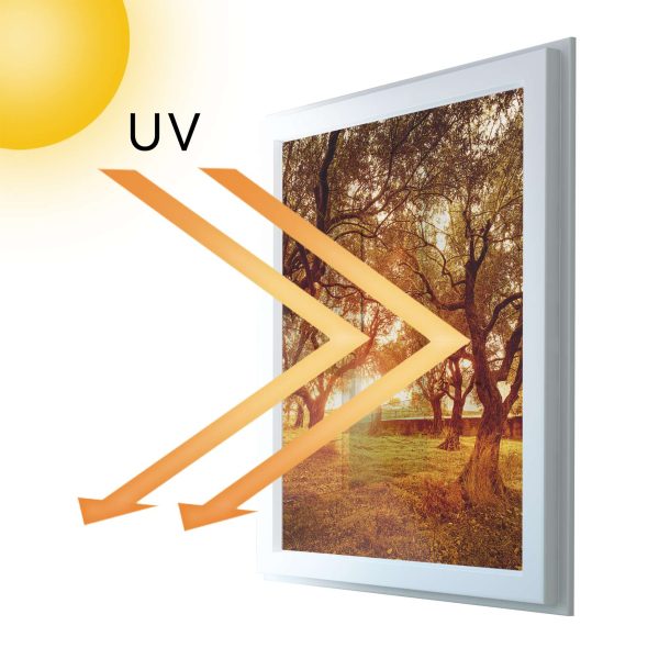 Fensterfolie [hoch] - Design: Tree Sunlight Rabatt – Bild 5