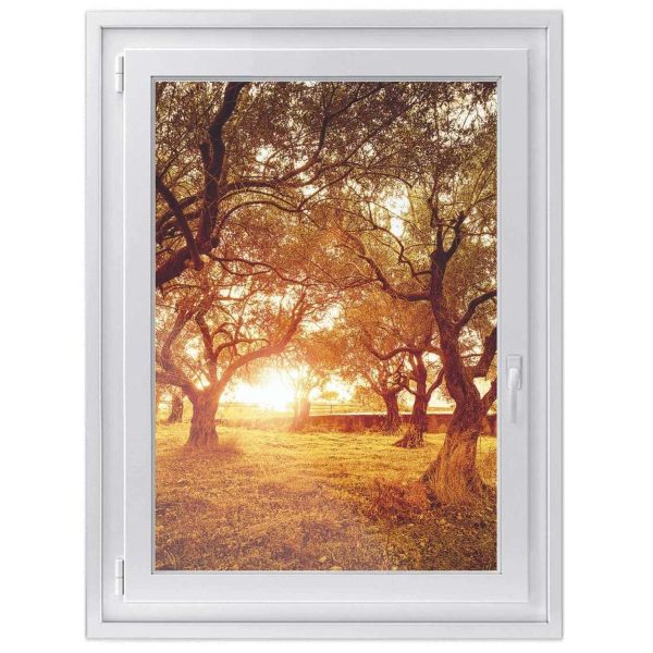Fensterfolie [hoch] - Design: Tree Sunlight Rabatt