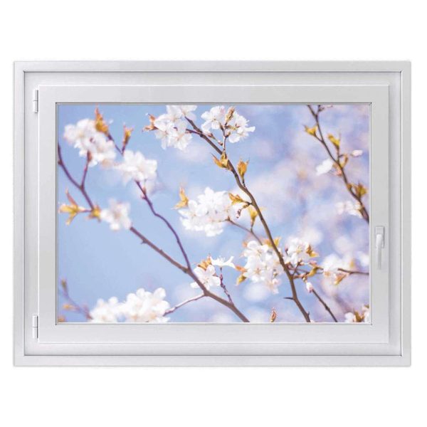 Fensterfolie [quer] - Design: Apple Blossoms Jetzt online